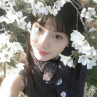 隐世宗门掌教